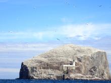 Bass Rock. The white dots are seabirds. Mostly gannets I think.